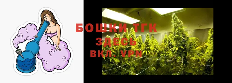 как найти закладки  Камышлов  Бошки Шишки SATIVA & INDICA 